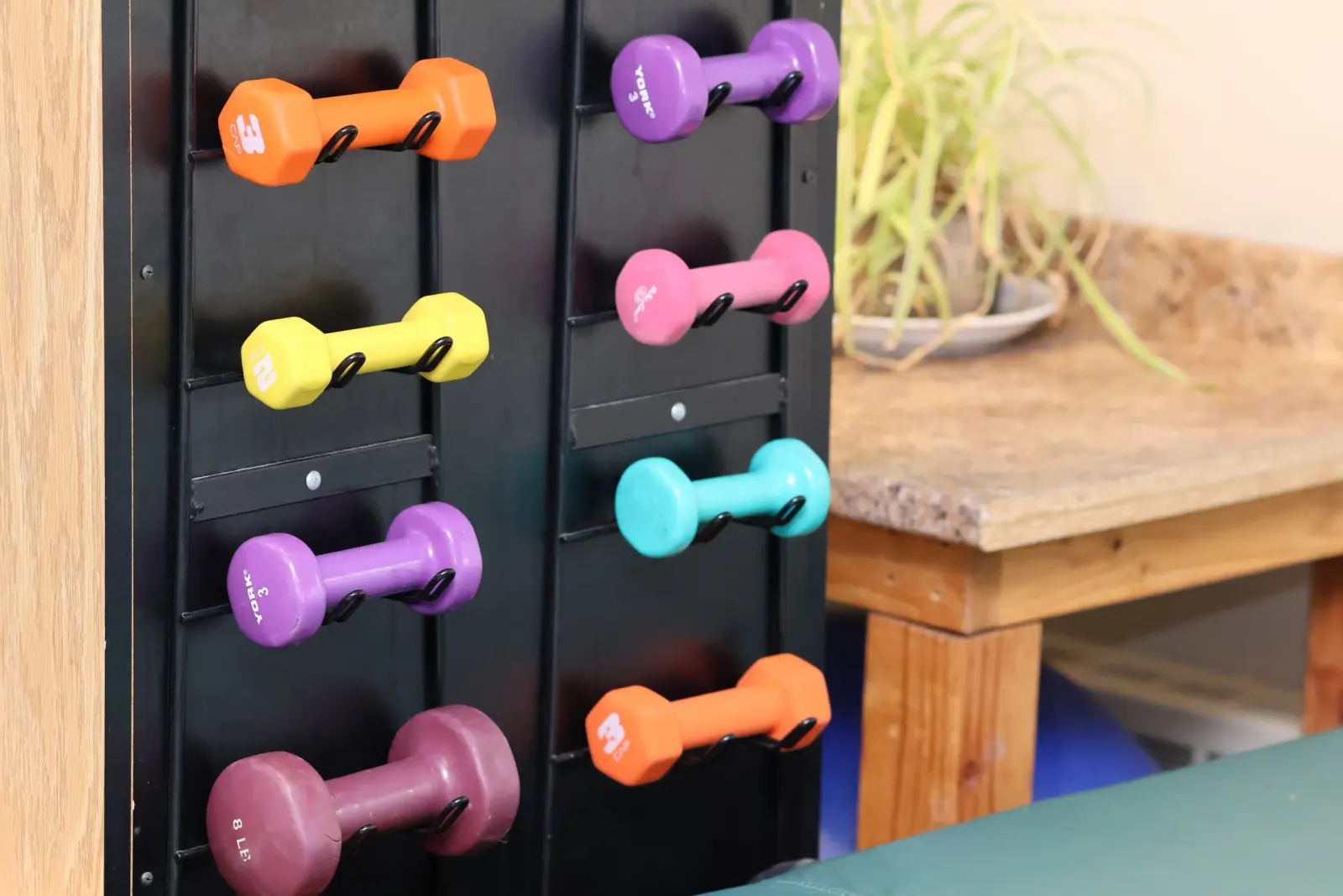 Queen Anne therapy space