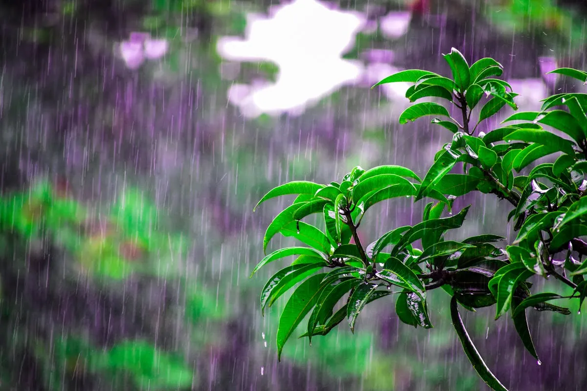 Appreciating Caregivers: A Labor Day Tribute to Those Who Care
